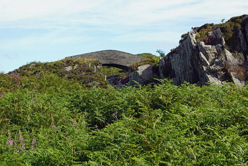 Paysages près de Mallaig par Babetts Bildergalerie