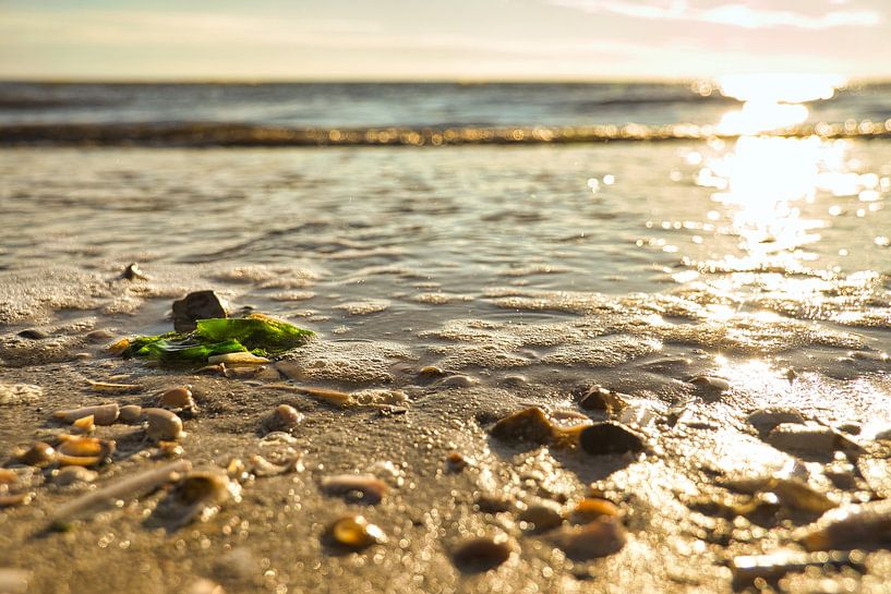 Am Strand von Blåvand im Sonnenschein am Meer von Martin Köbsch