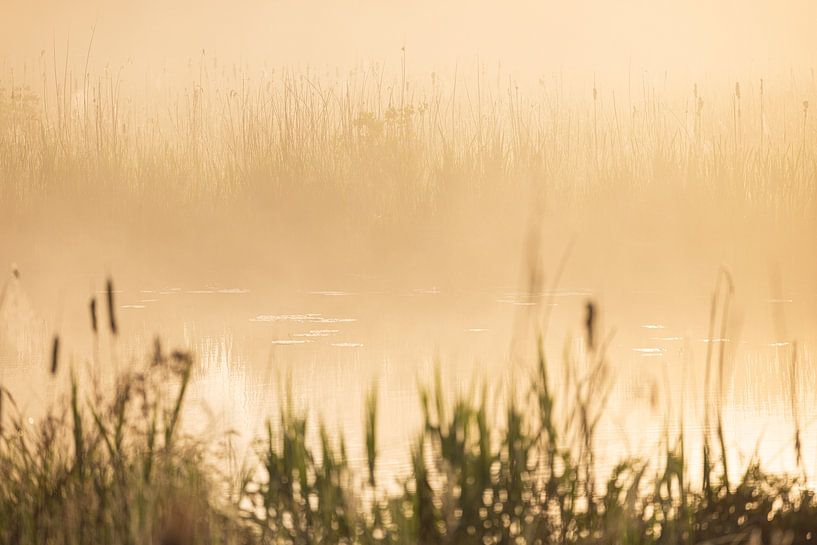Sunrise Drenthe (Netherlands) by Marcel Kerdijk
