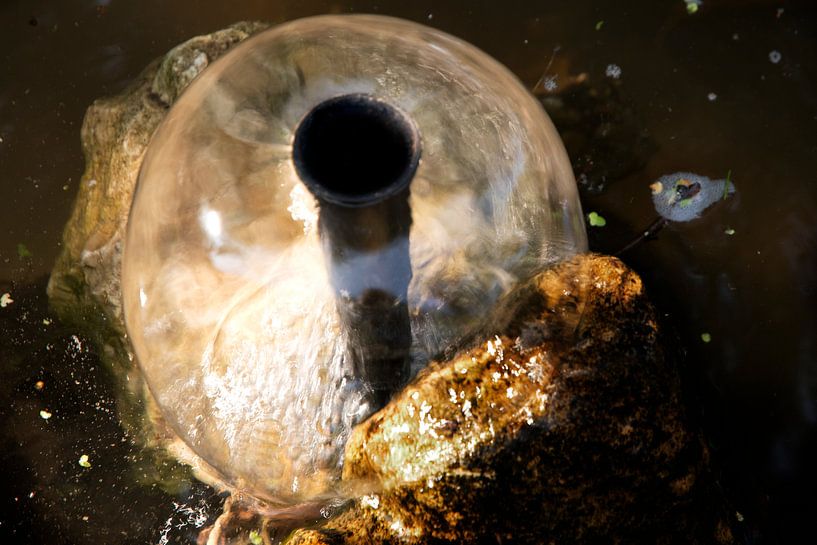 Fertility of the earth by Erna Kampman