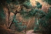 Gegensätzliche Farben