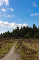 Folgen Sie dem Pfad zu.