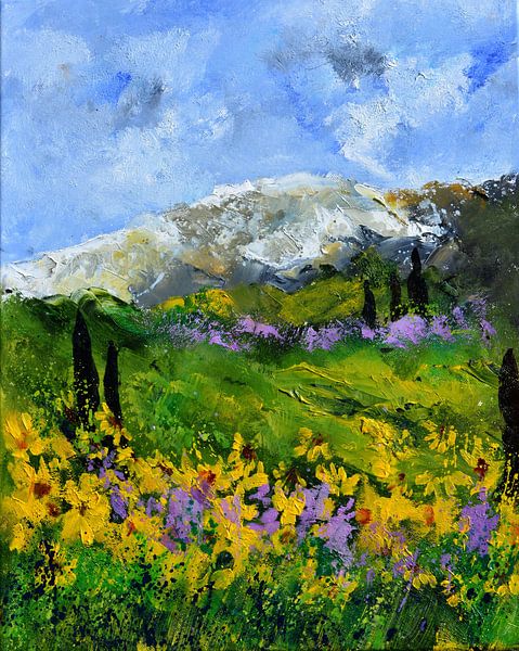 Provene 455150 par pol ledent