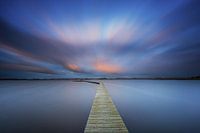 Fledermauspfad Roegwold