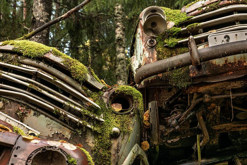 The beauty of decay XI by Gerry van Roosmalen