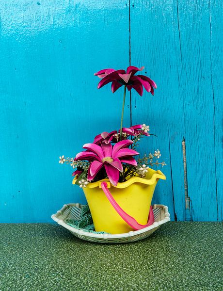 A Blume von Ubo Pakes