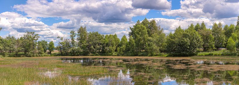 Hoge Veluwe National Park Netherlands by Eric Wander
