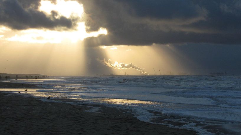 Rookpluim by Jon Houkes