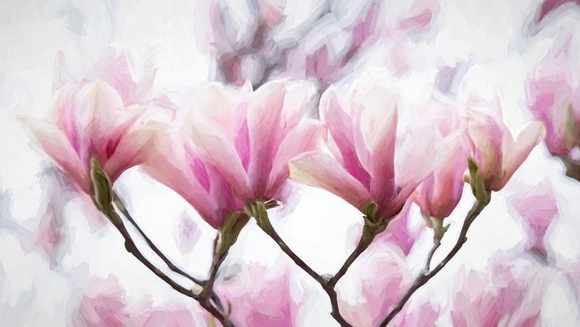 Magnolia a flower heralding spring by Francis Dost