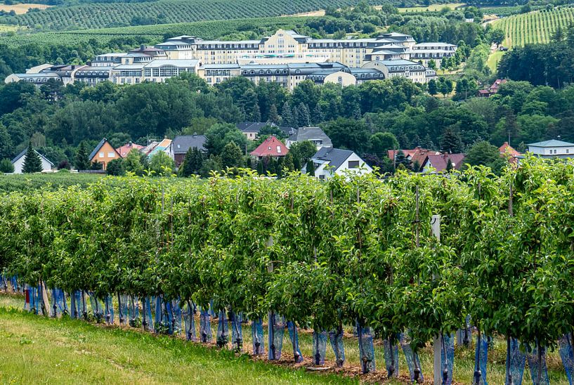 Blick auf den Kurort Kreischa mit Klinik in Sachsen von Animaflora PicsStock