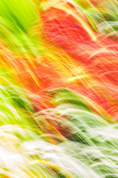 Flammen von Jan Peter Jansen