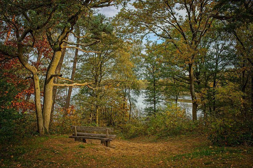 Autumn colours of the Black Water by Jos Saris