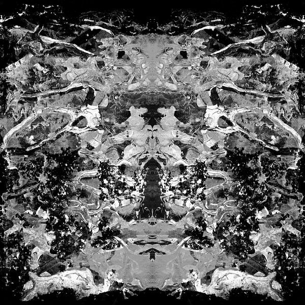 ZWART-WITTE ABSTRACTIE-1 van Pia Schneider