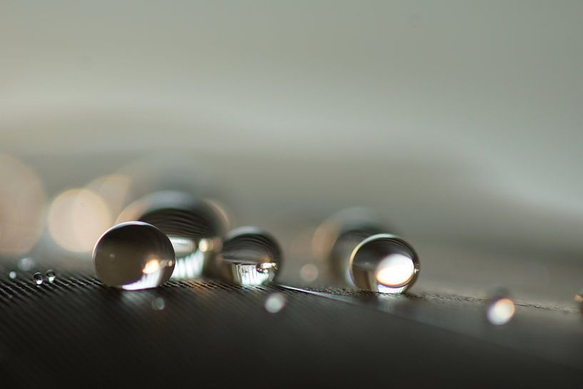 Meet the drops by Carla Mesken-Dijkhoff