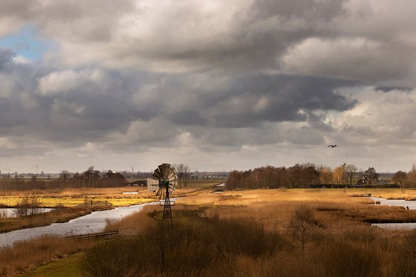 De Alde Feanen - National park near Earnewoude by Marianne van der Zee