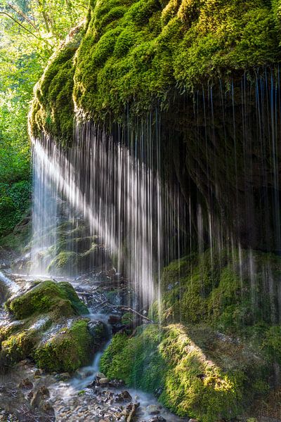 Walddusche im Schwarzwald von Flatfield