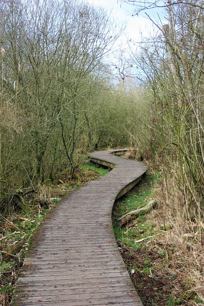 Terrassenweg mit Begrünung von Manjek Schellekens