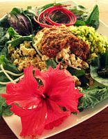 Een Tropische raw food lunch