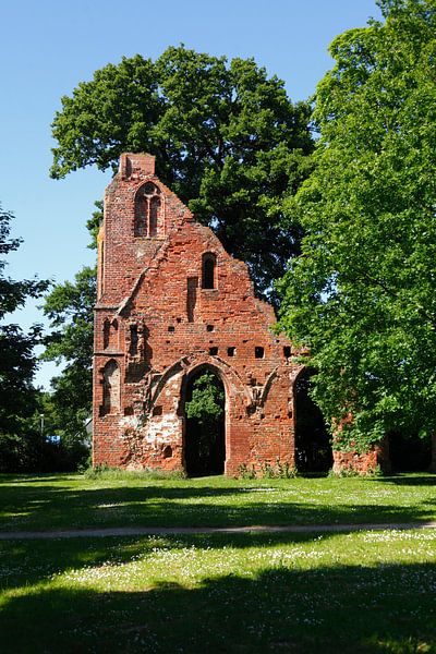 Greifswald : Klosterruine Eldena von Torsten Krüger