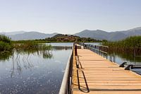 Footbridge to island in Prespa Lake Greece