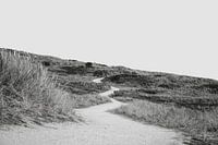 Der Weg durch die Dünen