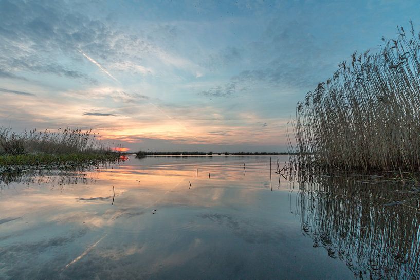 De Groene jonker von Tjomme Fernhout