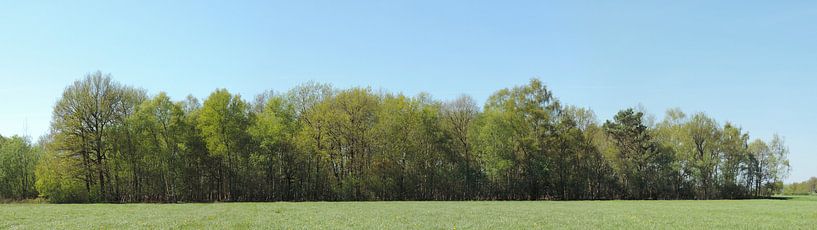 Panorama einer Waldgrenze von Wim vd Neut
