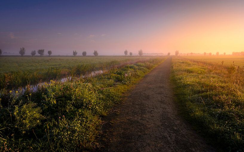 Butterhouse Polder im Nebel von Martijn van der Nat