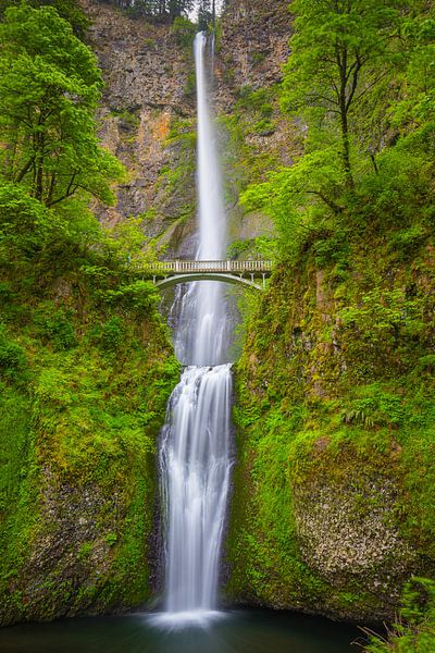 Chute d'eau de Multnomah Falls, Oregon par Henk Meijer Photography