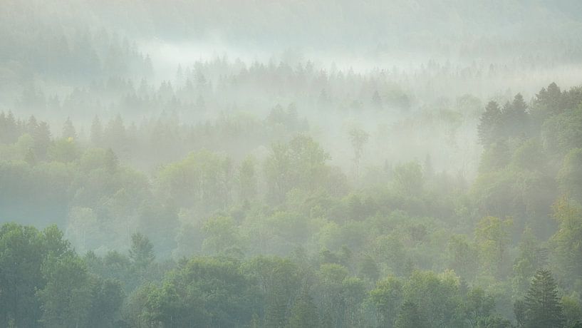 Belle matinée avec de la brume sur les forêts du Jura français. par Jos Pannekoek