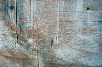 Rohe Schönheit - altes Holz