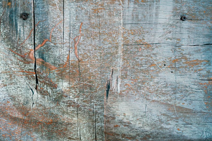 Rohe Schönheit - altes Holz von Johannes Schotanus