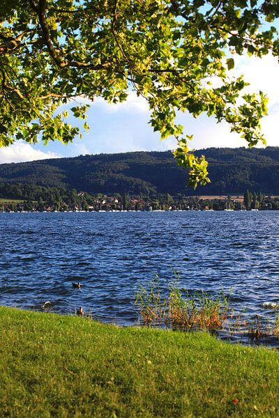 Bodensee von Thomas Jäger