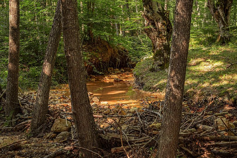 Serbie - Kursumlija, la ville du diable par Photoart-Naegele