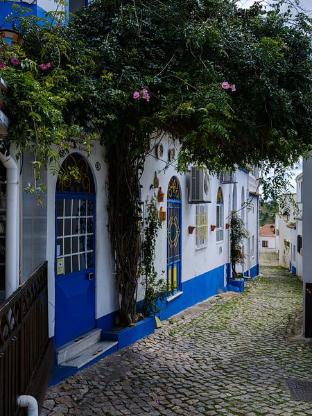 Straße in Alte von Eddy Westdijk