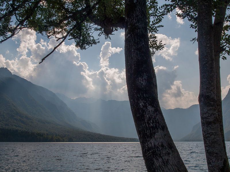 Meer  van Bohinj by Rinke Velds