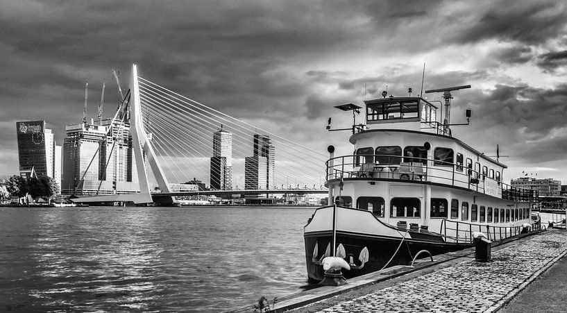 Erasmus Bridge, Rotterdam by Lorena Cirstea
