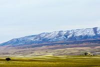 Moroccan tundra-like landscape