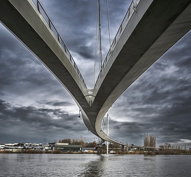 Nescio Fahrradbrücke von Peter Bartelings