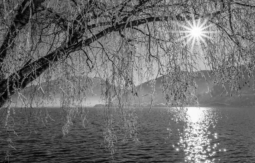 A winter curtain on Lake Zell by Christa Kramer
