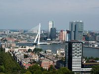 Rotterdam skyline from a great height