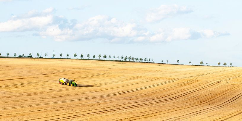 Deutschland von Jan Meijer, Studio Meibrink