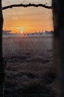 Lever de soleil à Salland