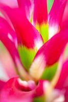 Explosion des couleurs