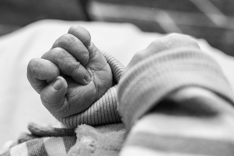 Baby-Hand von Photos by Ilse