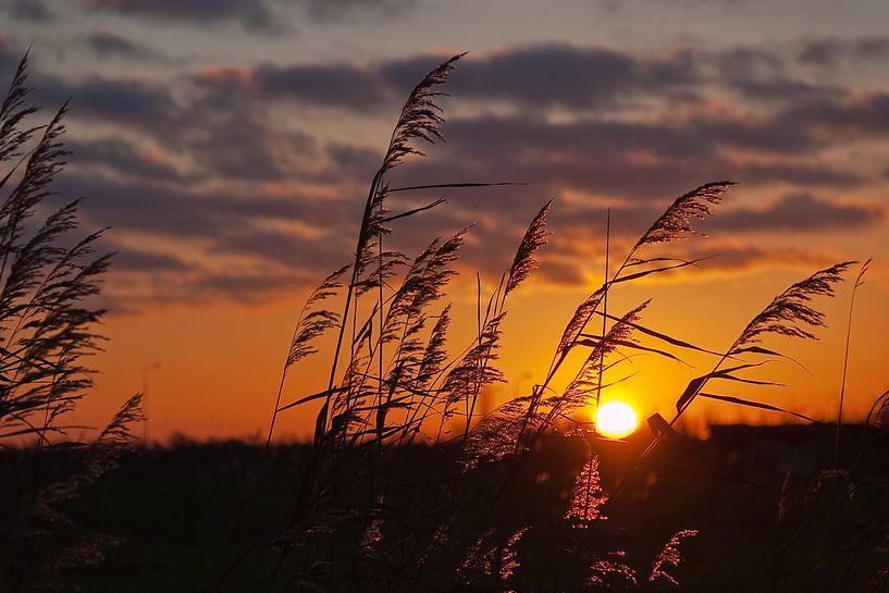 Fall sunset by Ferry Noothout