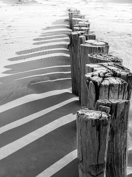 Stangen am Strand von Zeeland mit Schatten von Evelien Oerlemans