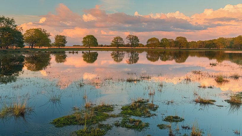 Coucher de soleil dans le parc national du Dwingelderveld par Henk Meijer Photography