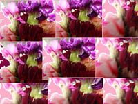 Oh so Mesmerising par Elle Hart