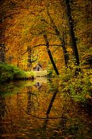 Chalet dans la forêt en automne